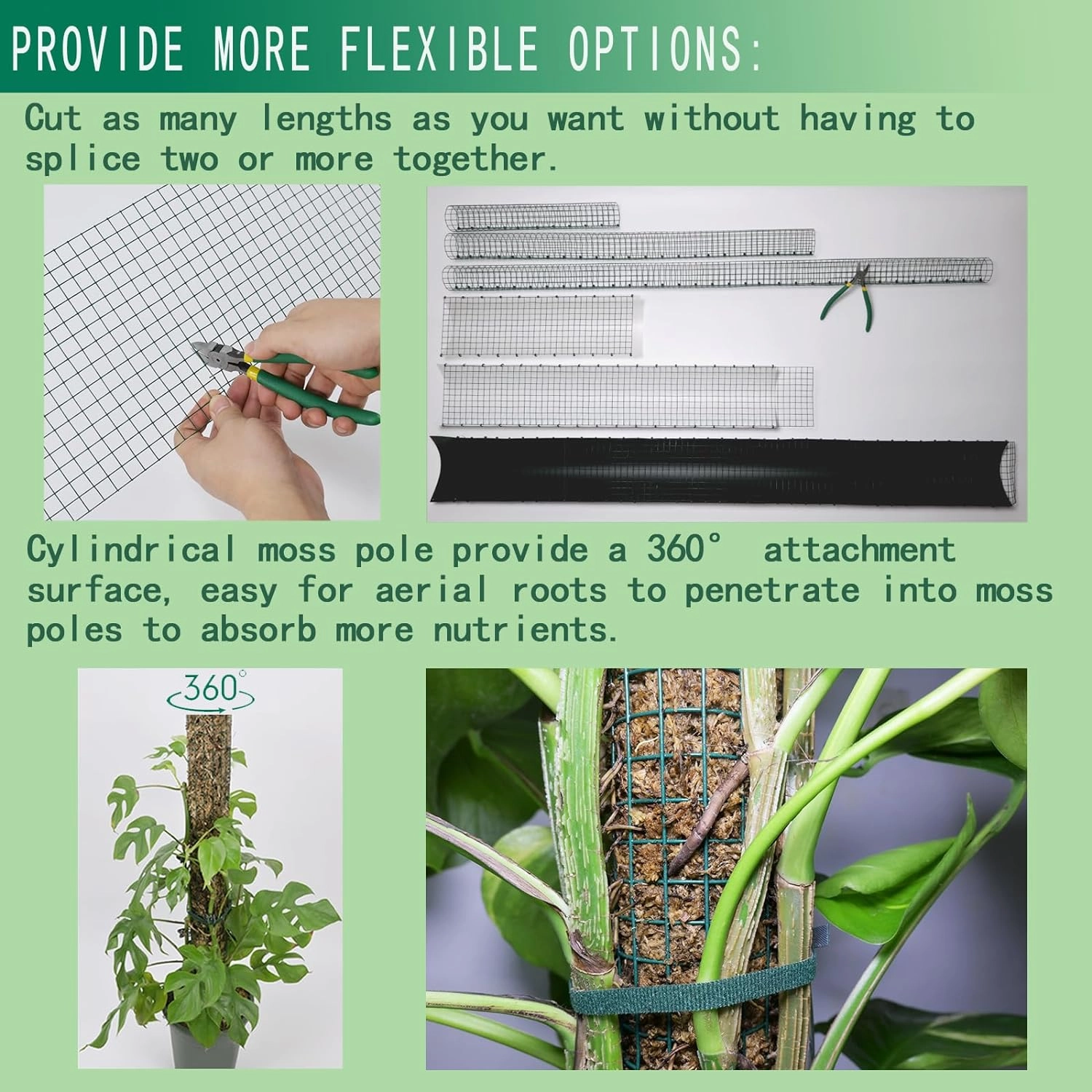 10ft/20ft/40ft DIY Metal Mesh Sphagnum Moss Pole Monstera Plant Support Self Watering Plant Poles for Climbing Indoor Plants(40ft Coated Wire Mesh，12ft Plastic Moss Poles)