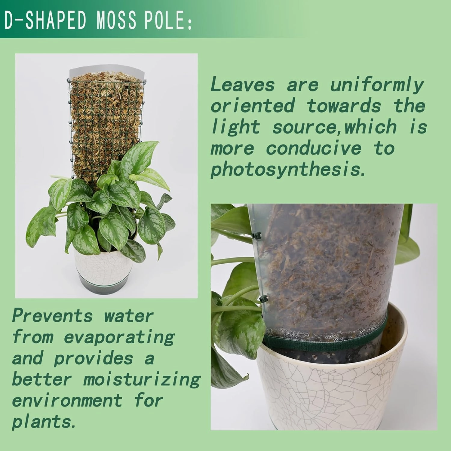 10ft/20ft/40ft DIY Metal Mesh Sphagnum Moss Pole Monstera Plant Support Self Watering Plant Poles for Climbing Indoor Plants(40ft Coated Wire Mesh，12ft Plastic Moss Poles)