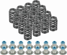 Beehive Valve Spring Kit, 16Pcs 560" Lift Beehive Valve Springs w/Seals for GM LS Engine 4.8L 5.3L 5.7L 6.0L 6.2L & 7.0L, Replace 12482063 12499224 12586484