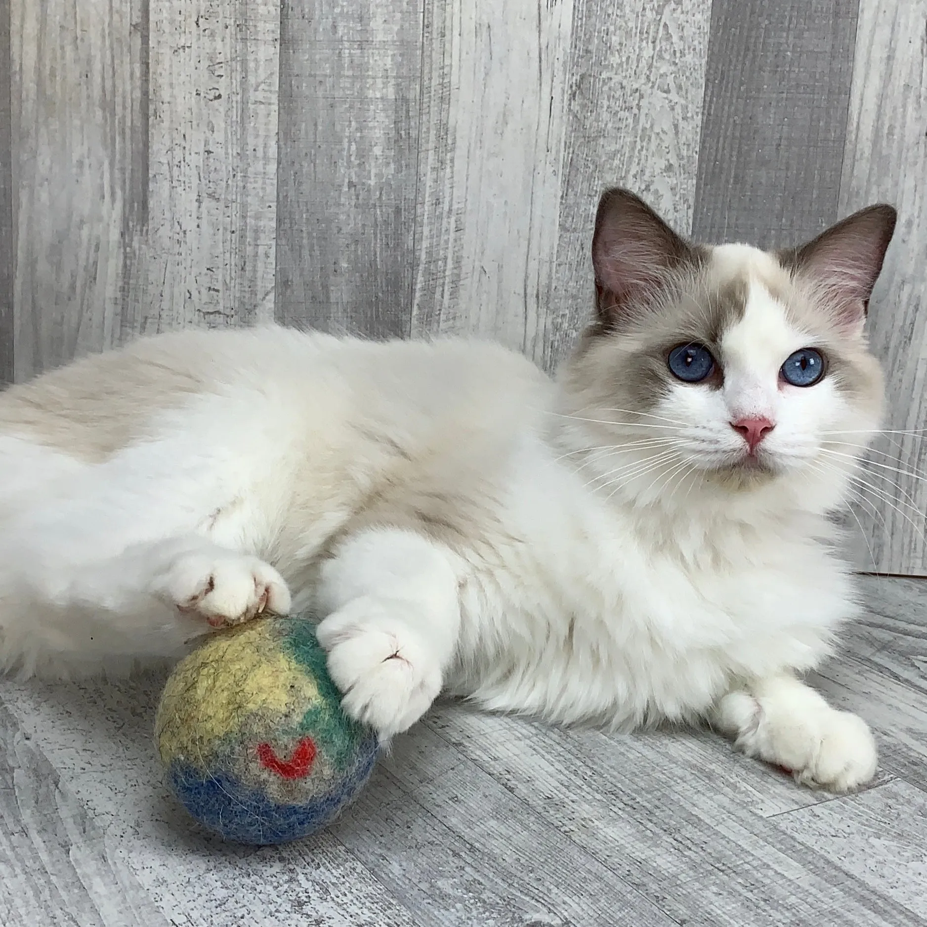Big felt ball