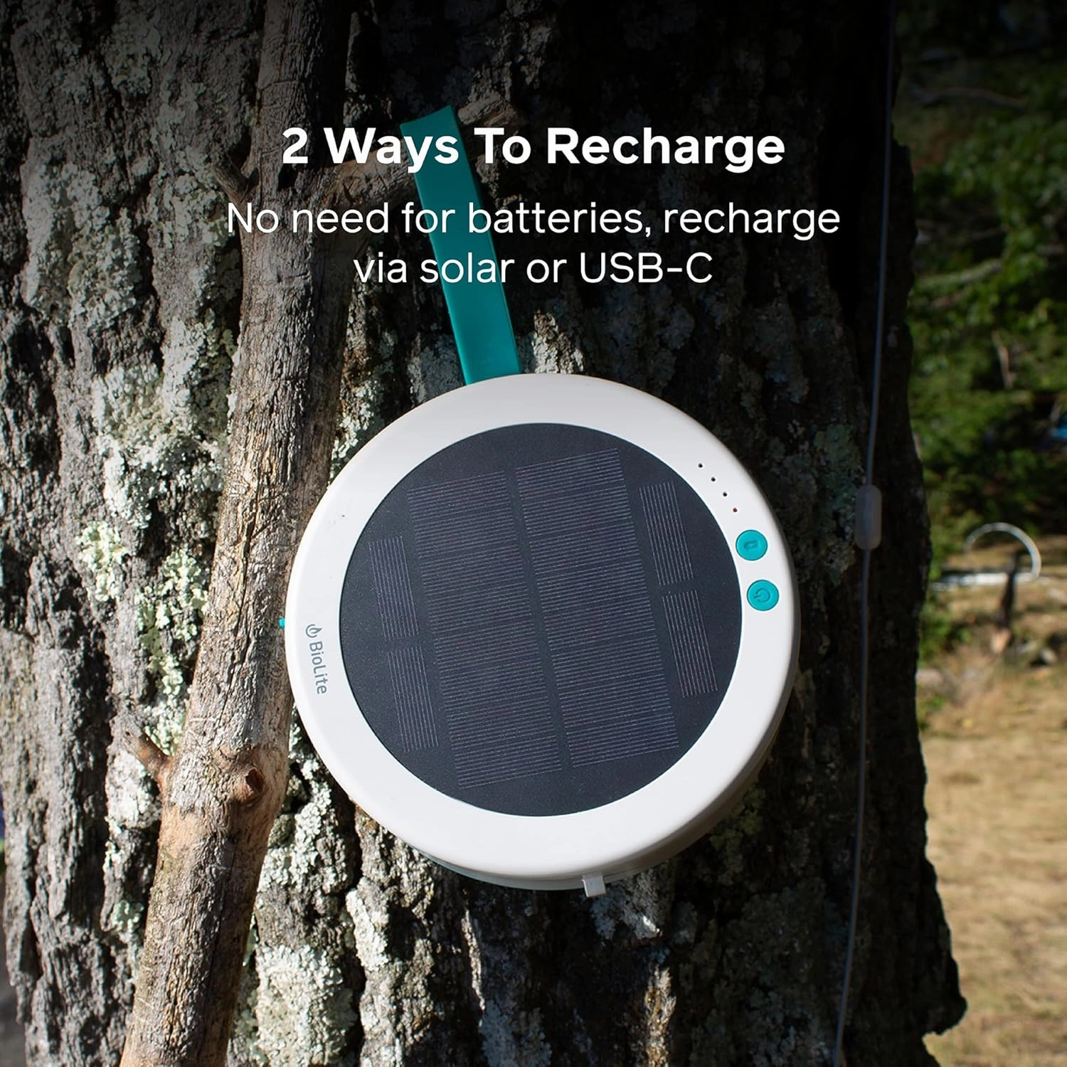 BioLite Solar String Rechargeable, Solar String Lights for Camping, Patio, and Travel, 44-Foot, Color