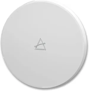 BROWAN WiFi 6 Ceiling Mounted AX6000 Enterprise Access Point (MI12) with OFDMA MU-MIMO Mesh, PoE  Powered for Business & Home | PoE Injector Not Included