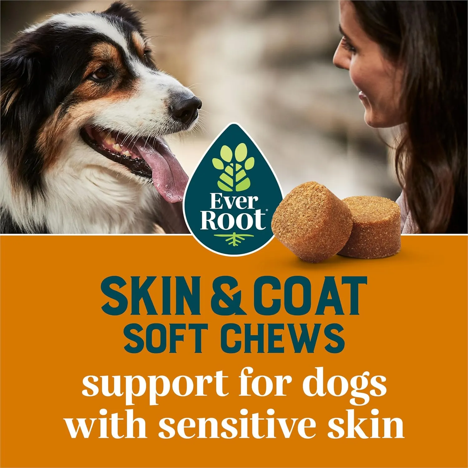 by Purina Skin and Coat Dog Supplements Soft Chews - 10.6 oz. Canister