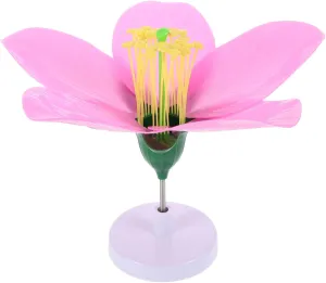 DECHOUS Portable Biology Teaching Aid Lightweight Peach Blossom Model Fake Floral Arrangement Enhance Student Understanding