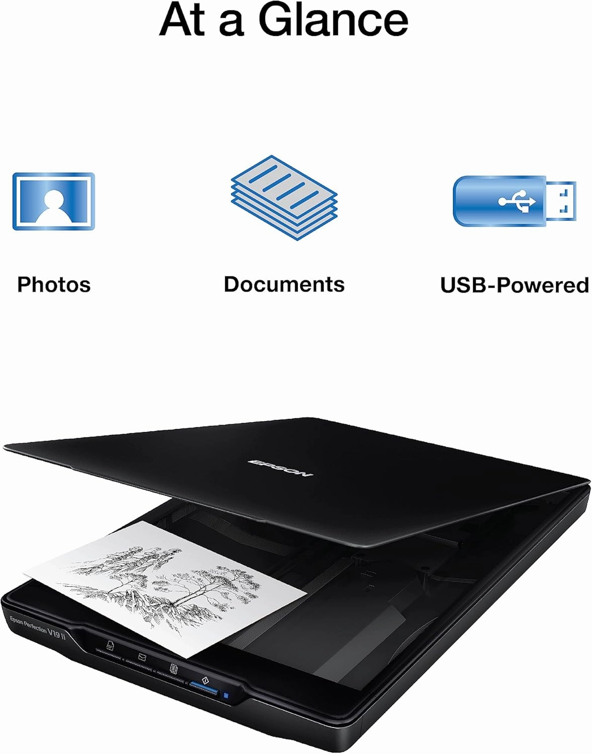 Epson Perfection V19 II Color Photo and Document Flatbed Scanner with 4800 dpi Optical Resolution, USB Power and High-Rise, Removable Lid