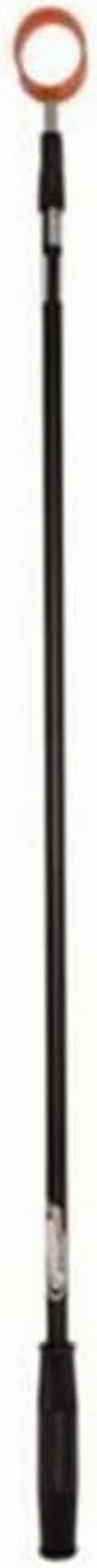 Fluorescent Head Golf Ball Retriever by ProActive Sports (9 ft.)
