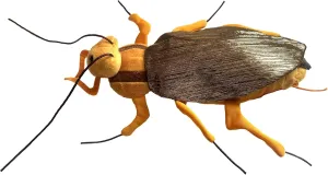 GIANTmicrobes Cockroach Plush - Learn About This Common Crawler with This Cuddly Plush, Unique Gift for Friends, Family, Educators, Students, and Insect Fans