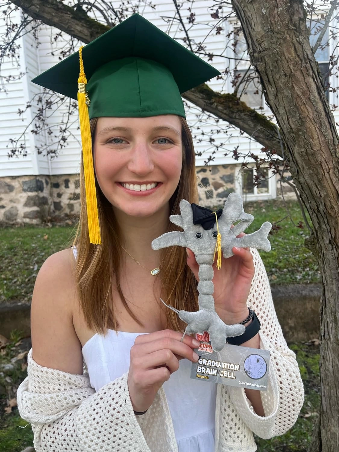 GIANTmicrobes Graduation Brain Cell Plush, graduation plush 2025, graduation stuffed animal 2025, graduation gifts class of 2025, nurse graduation gift, medical school graduation gifts