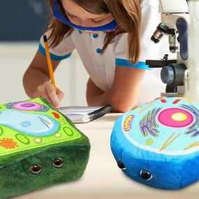 GIANTmicrobes Plant Cell Plush, Plant Cell Model, Anatomy Model, Plant Plush Toy, Cell Biology, Physiology, Biology Classroom Decor, Plant Anatomy