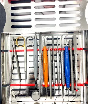 Grafting Soft Tissue and Suturing Kit #1