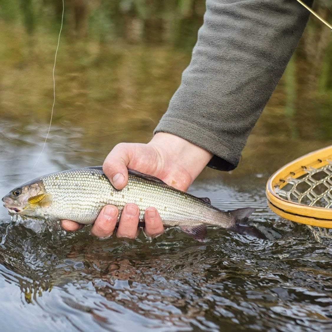 Landing Fish Net - Angler Tool with Clear Rubber Mesh Netting and Wooden Handle - Fly Fishing Equipment for Catch and Release by Wakeman