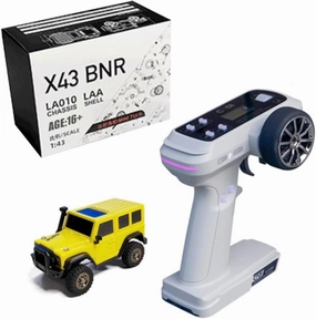 LDARC X43 RC Mini Climbing Car, 1/43 2.4G Hobby Grade RC Rock Truck 4x4 Mini RC Crawler for Adults, Comes with a DIY Replaceable Body Shell (RTR Version/Lemon Yellow)
