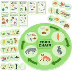Life Cycle Kit, Montessori Toys for Toddler Animal Learning, Food Chain & Food Web Science Education Toys, Science Kits for Kids Preschool Classroom Must Haves