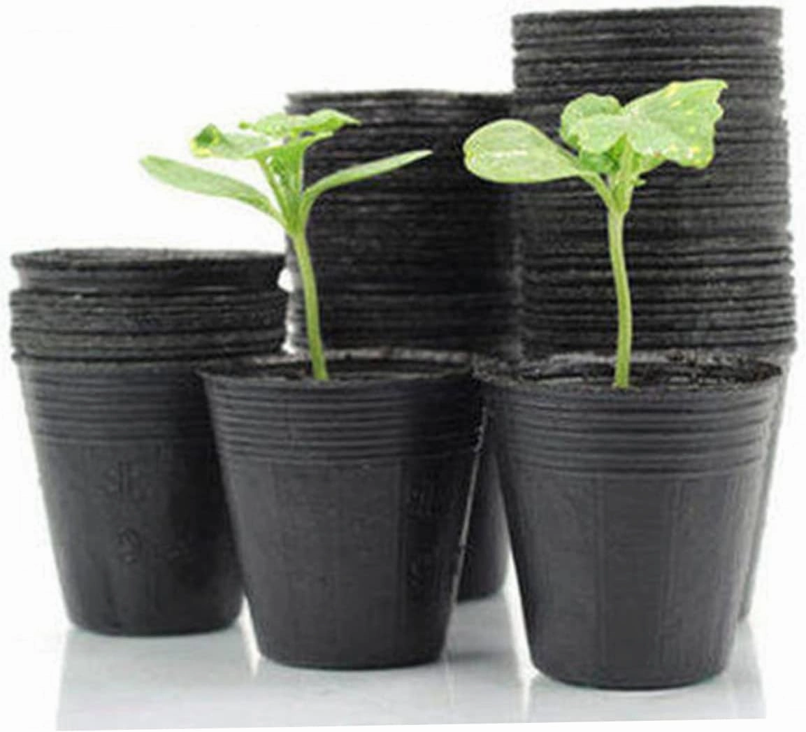 Lightweight Washable Nutrition Bowl Cup 6.5x6.5cm for Succulent Flowerpot Nursery Pot Garden Tool for Starting