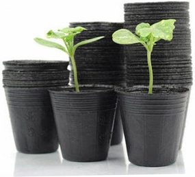 Lightweight Washable Nutrition Bowl Cup 6.5x6.5cm for Succulent Flowerpot Nursery Pot Garden Tool for Starting