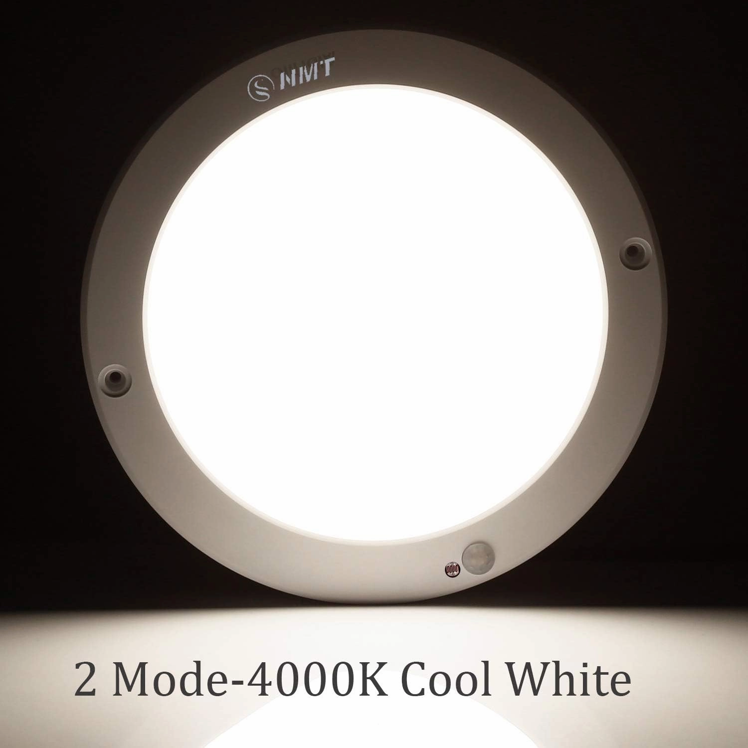 Motion Sensor Led Ceiling Light 1200 Lumen,100 Watt Equivalent for Stairs,Basements,Porches,Closets,Hallways,Indoor/Outdoor,Daylight White 4000K
