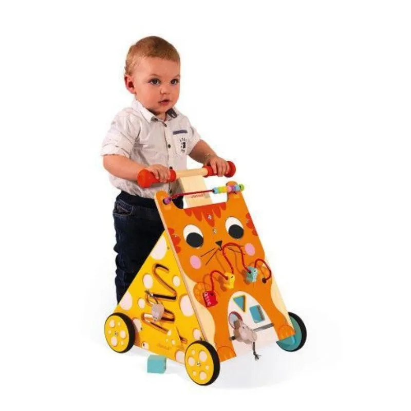 Multi-Activities Cat Baby Walker