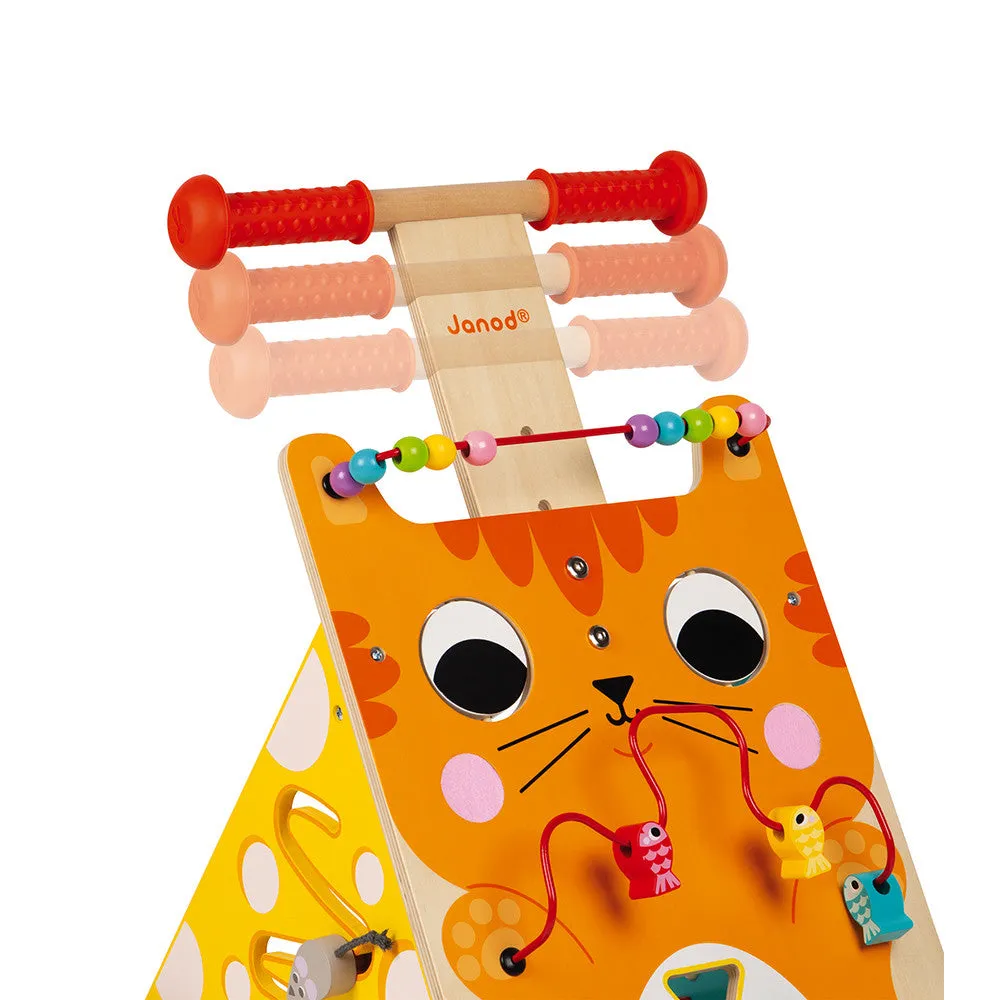 Multi Activity Baby Cat Walker