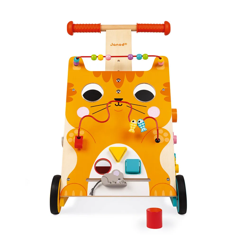 Multi Activity Baby Cat Walker