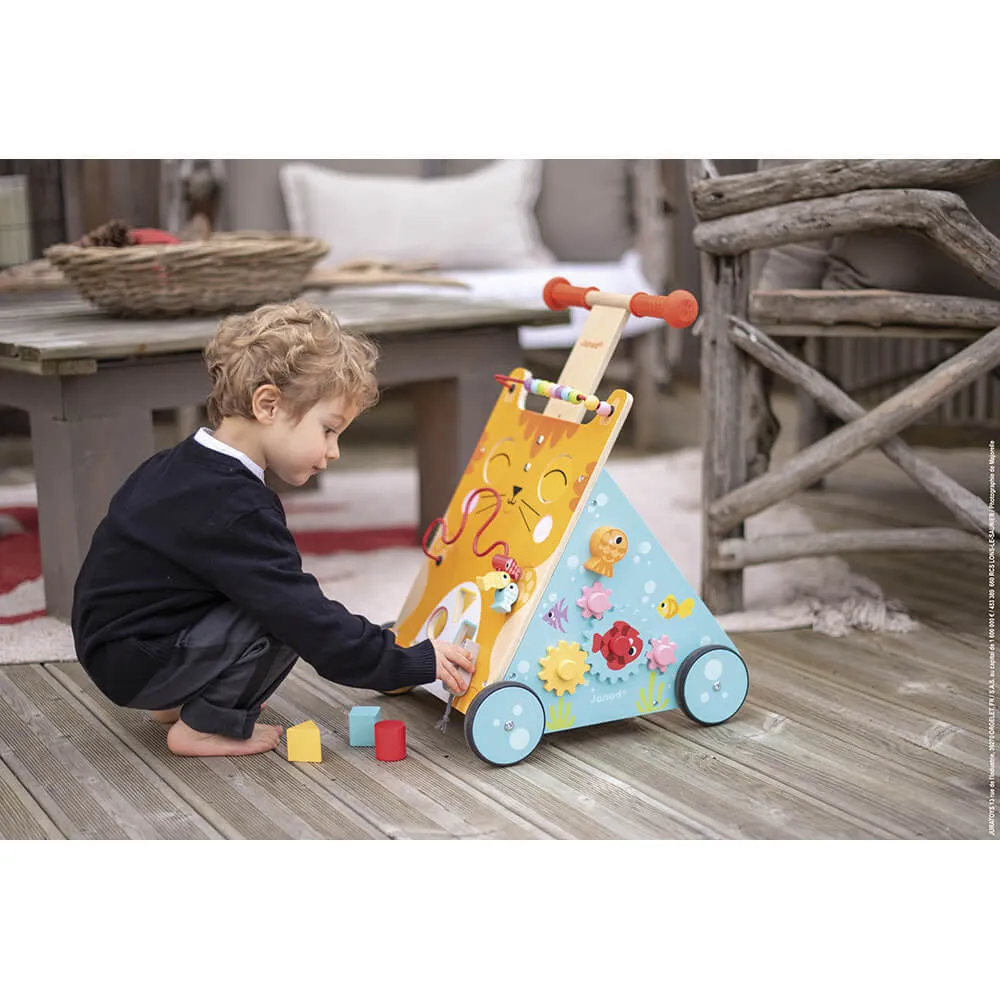 Multi Activity Baby Cat Walker