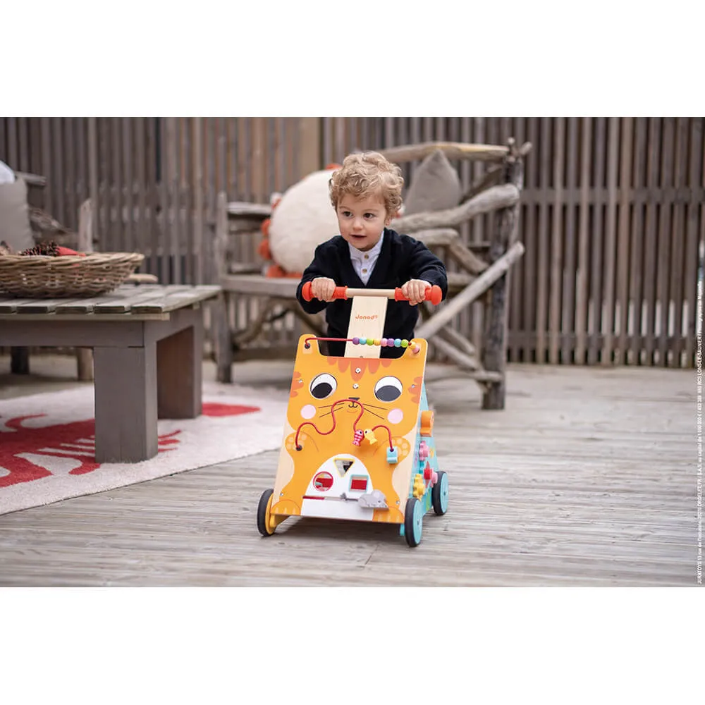 Multi Activity Baby Cat Walker