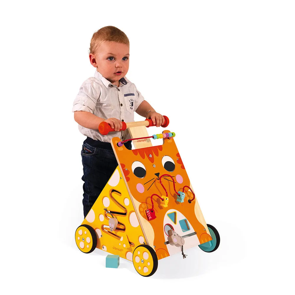 Multi Activity Baby Cat Walker