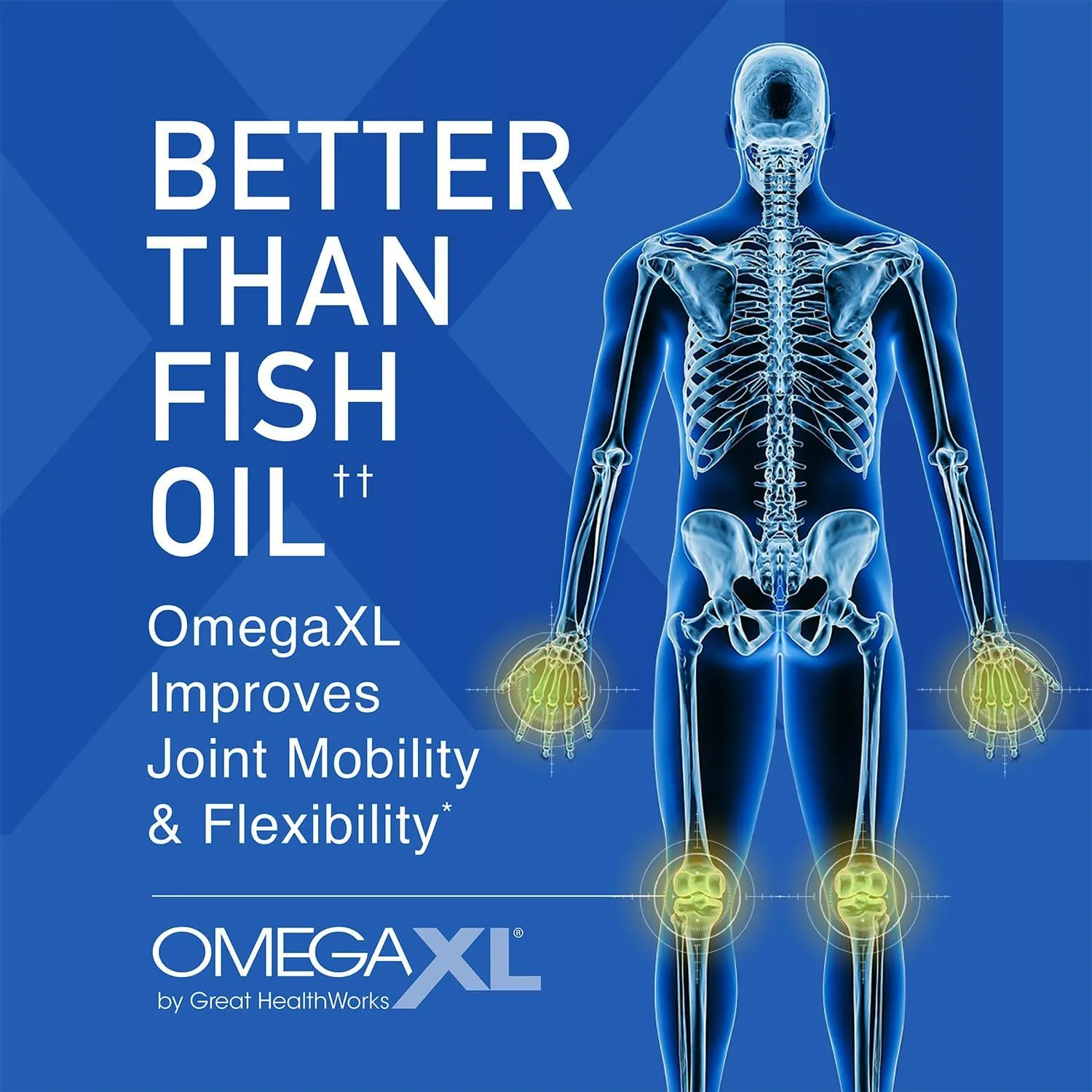 OmegaXL Joint Support Supplement, for Relief - Natural Muscle Support, Green Lipped Mussel Oil, Soft Gel Pills, Drug-Free, 60 Count