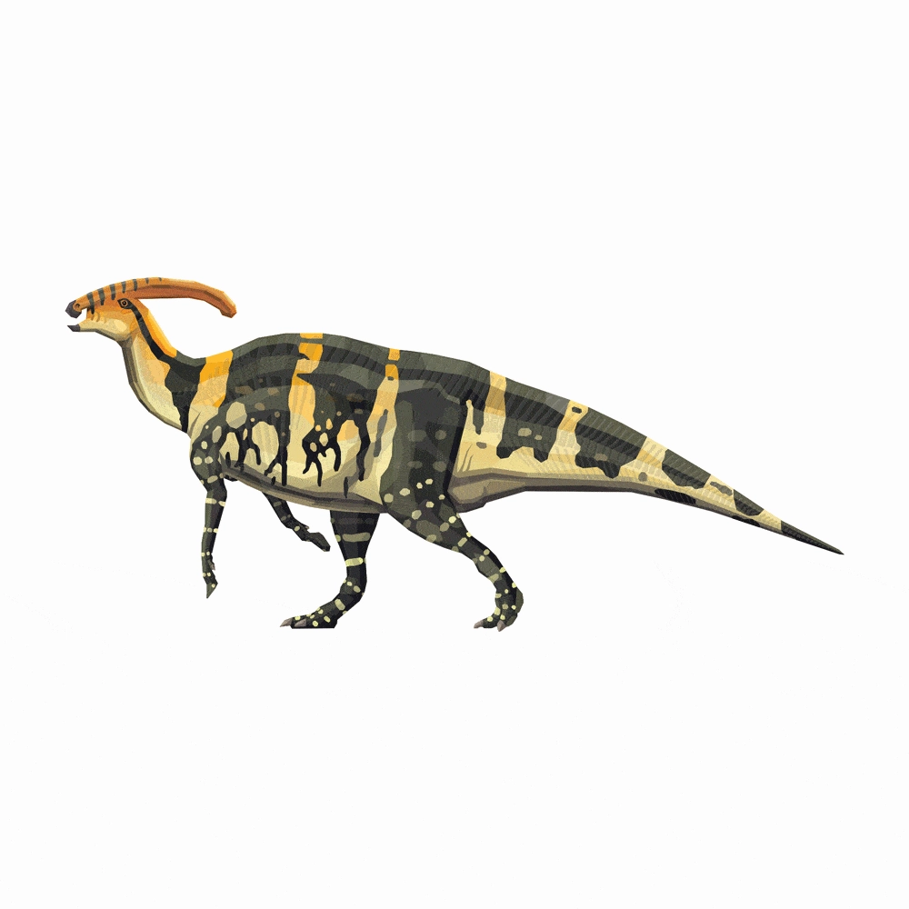 Parasaurolophus X-Ray 3D Collectible Dinosaur Card