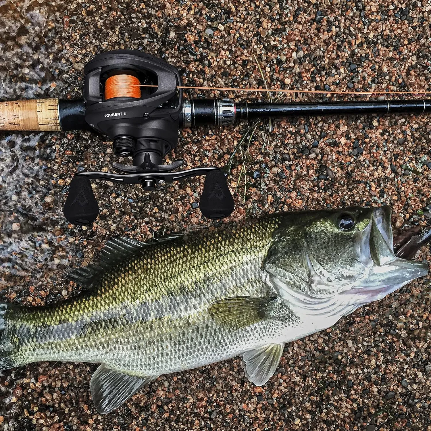 Piscifun Torrent II Baitcasting Fishing Reel, 20LB Carbon Fiber Drag Baitcasters, 6.6:1/8.1:1 Gear Ratio & Magnet Braking System Low Profile Casting Reel, Left/Right Handed