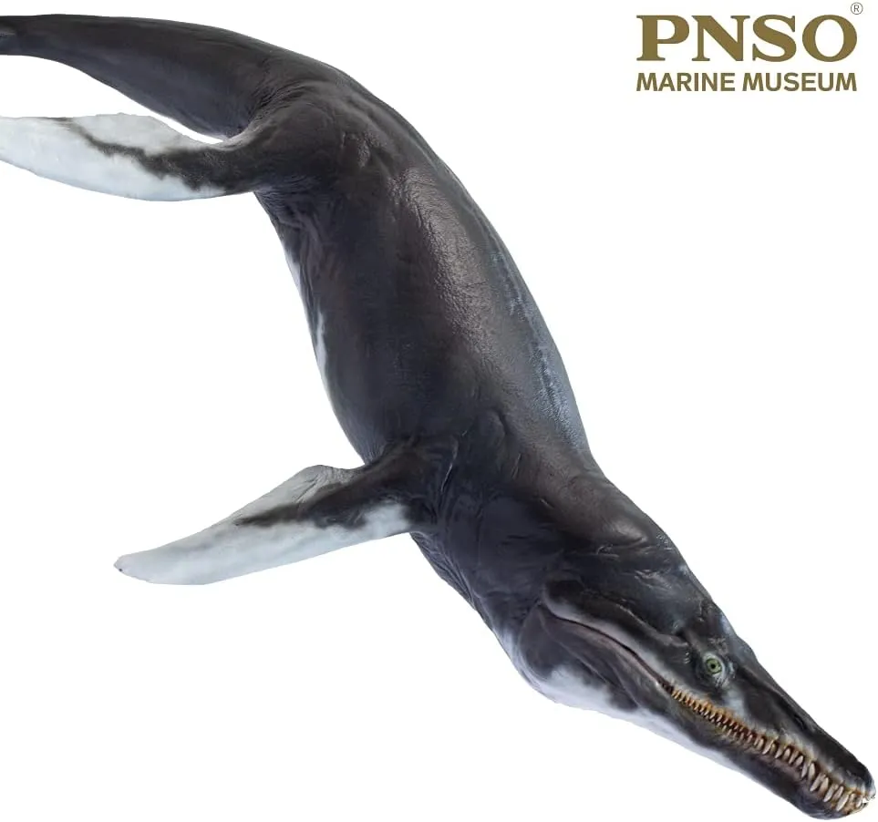 PNSO Prehistoric Animal Models (Jeff The KRONOSAURUS 1:35 Scientific Art Model)