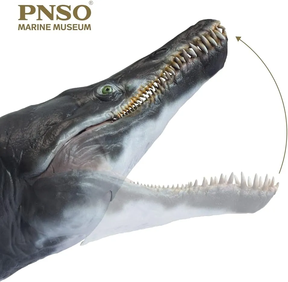 PNSO Prehistoric Animal Models (Jeff The KRONOSAURUS 1:35 Scientific Art Model)