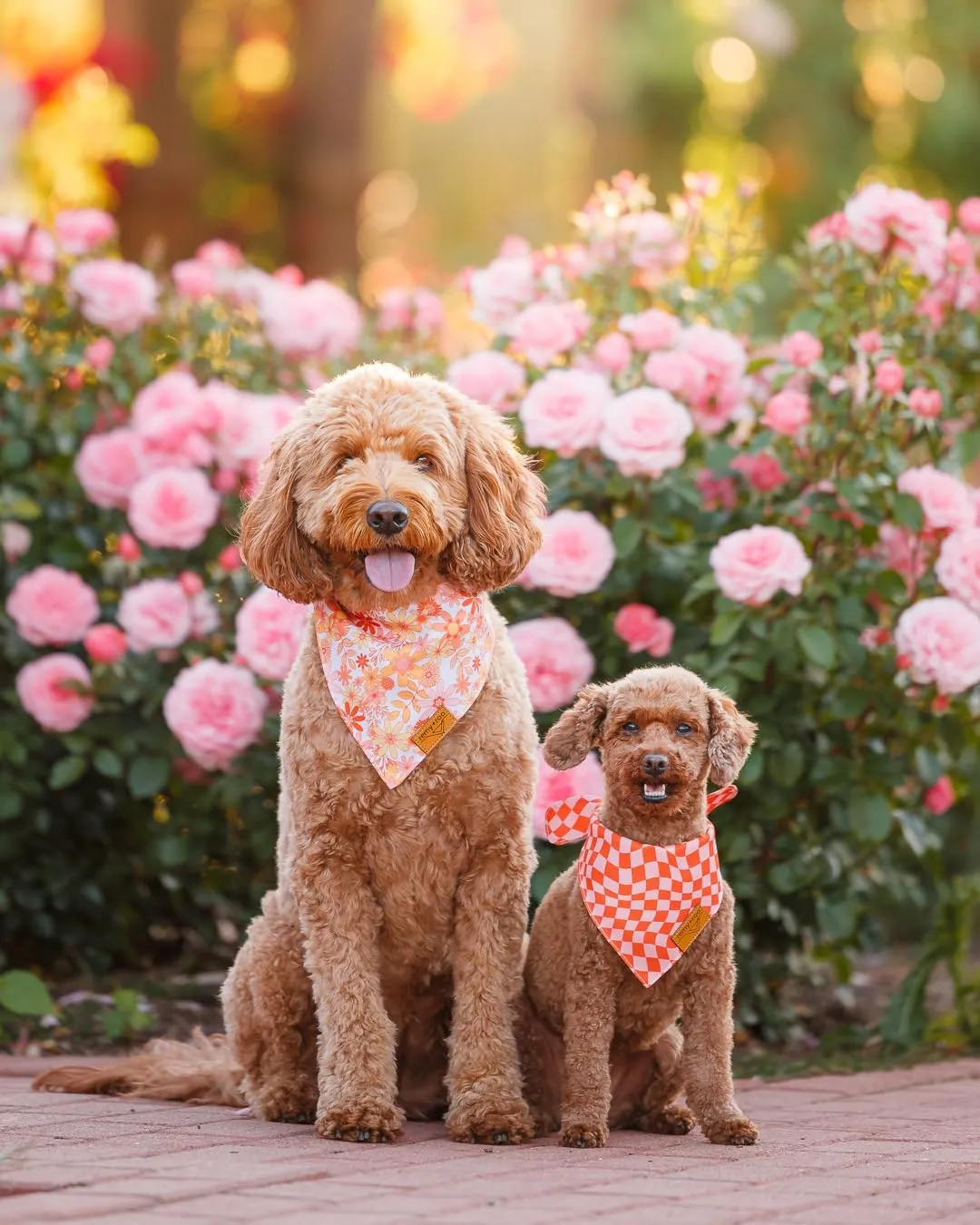 Remy Roo Large Spring Dog Bandanas - 4 Pack Daisy Set | Premium Durable Adjustable Polyester Fabric | Patented Shape Girl Dog Bandana, Trendy Pattrens, Floral Dog Bandana