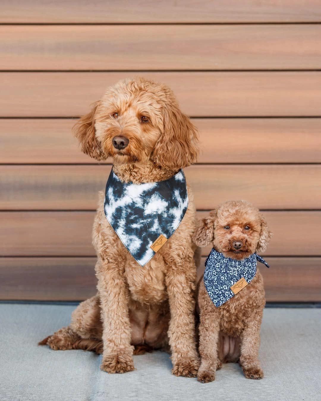 Remy Roo Dog Bandanas - 4 Pack | Cameron Set | Premium Durable Fabric | Patented Shape | Adjustable Fit | Multiple Sizes Offered (Large)