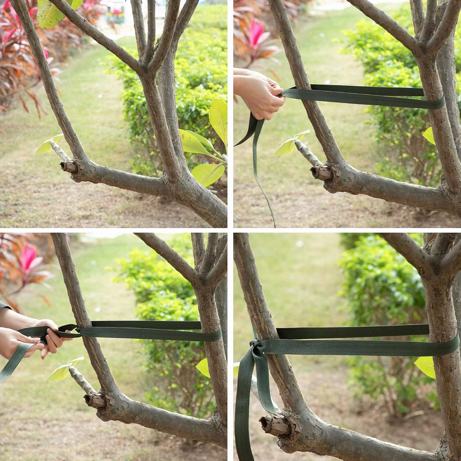 Shappy Tree Tie Strap Garden Webbing Strap Garden Plant Supports Tree Tie Staking for Outdoor Use, Plant Supports, Grafting, Straightening Supplies(Dark Green,590.55 Feet x 1 Inch)