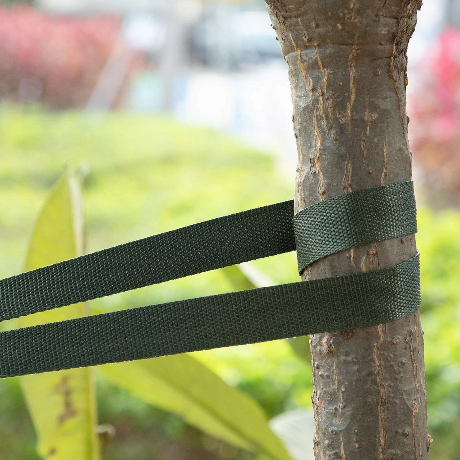 Shappy Tree Tie Strap Garden Webbing Strap Garden Plant Supports Tree Tie Staking for Outdoor Use, Plant Supports, Grafting, Straightening Supplies(Dark Green,590.55 Feet x 1 Inch)