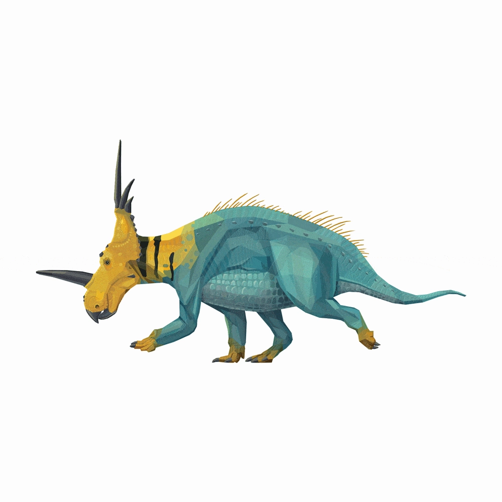 Styracosaurus X-Ray 3D Collectible Dinosaur Card