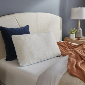 Tempur Bed Pillows, Queen, White