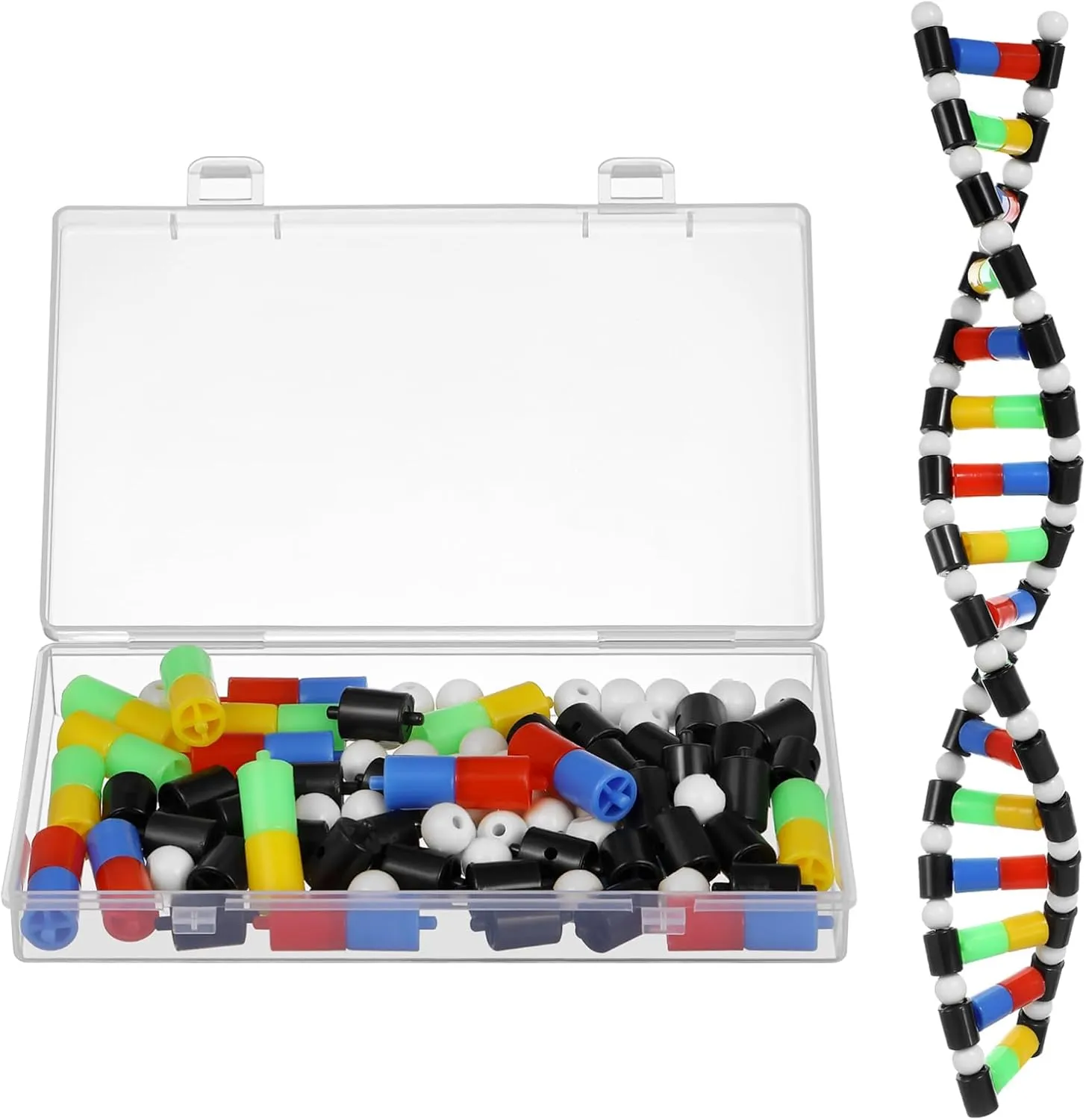 TOYANDONA DNA Model Kit, DNA Double Helix Structure Model DNA Double Helix Model for School Student Science Teaching Educational Learning