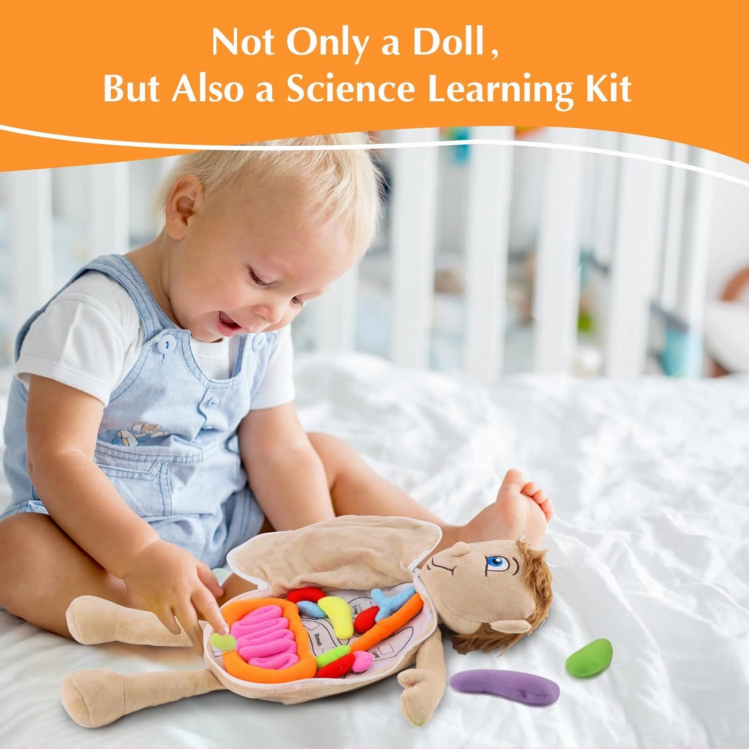 vocheer Human Body Anatomy Toy, Montessori Preschool Educational Organ Plush Toys for Kids, Science Learning Kits for Student, Body Organ Awareness Teaching Tools for Boys